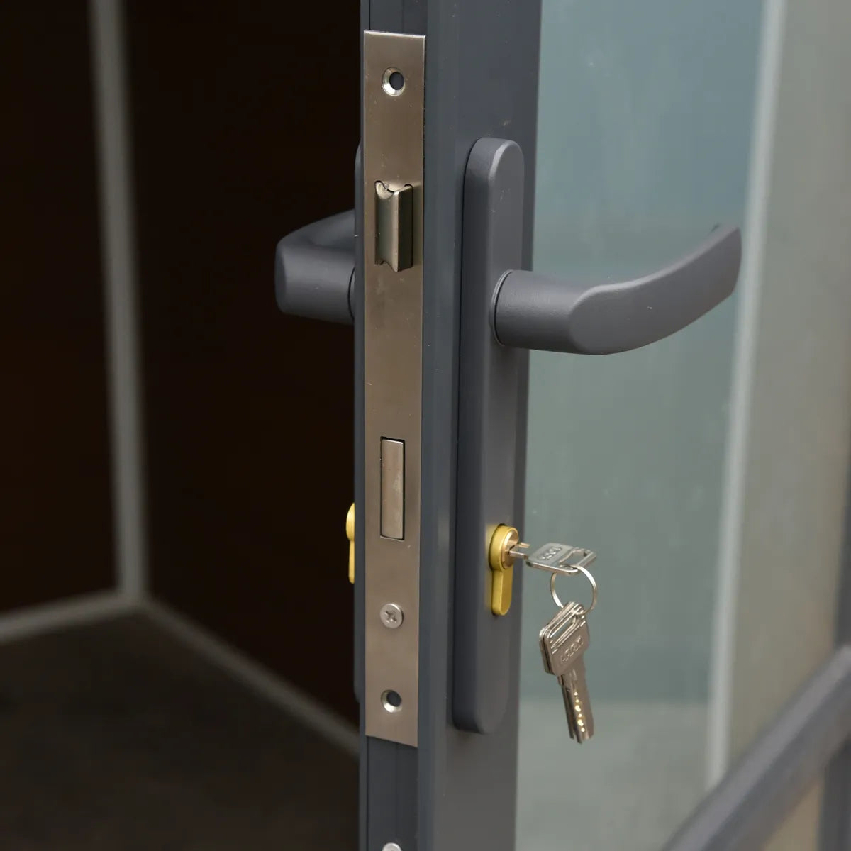 Poignée et serrure à cylindre de la porte d'un abri Alma