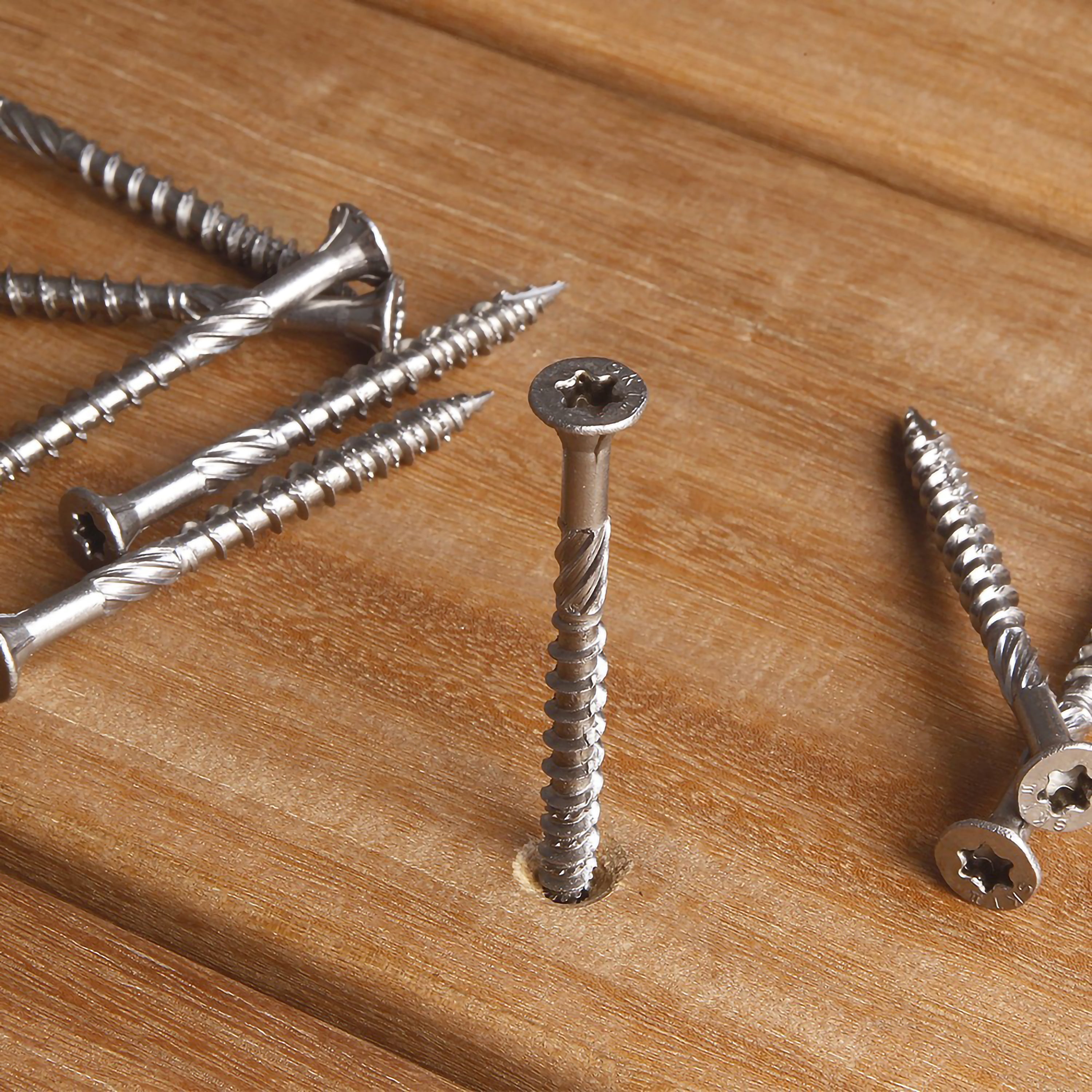 m-vis-cobra-inox-5x50mm_ambiance.jpg